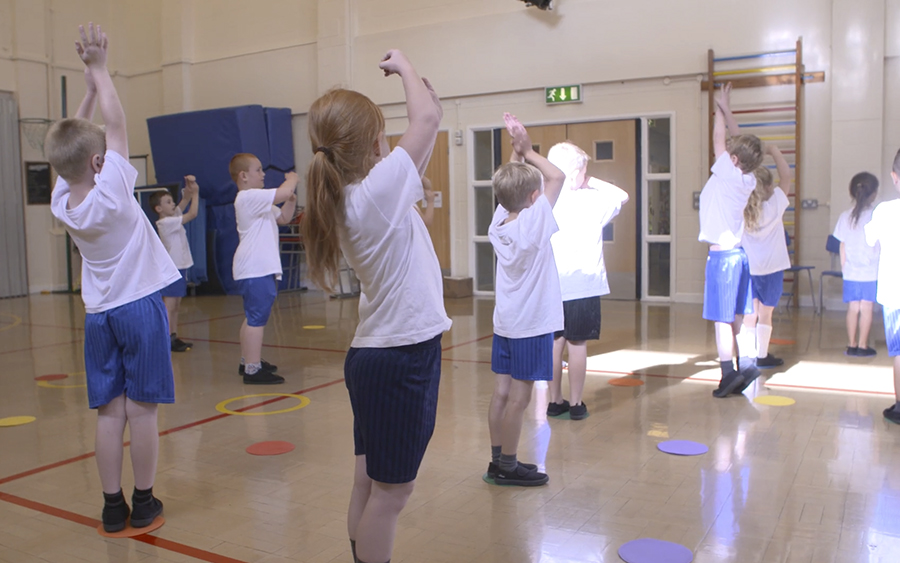 Film: Rainforest rumble